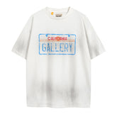 Dirty Distressed Casual T-shirt #G015-29